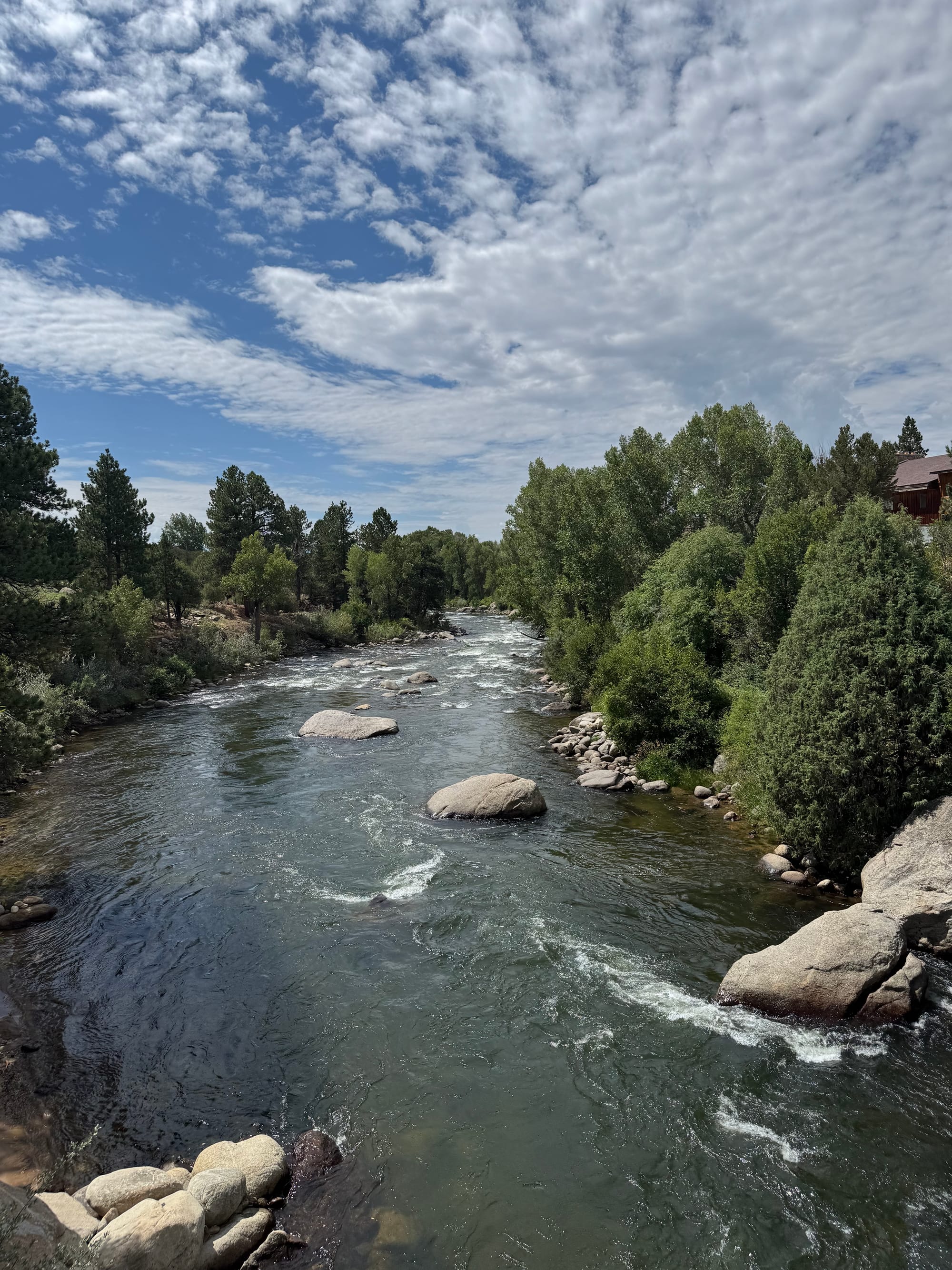 Nicole's Notes - Week of July 28, 2025