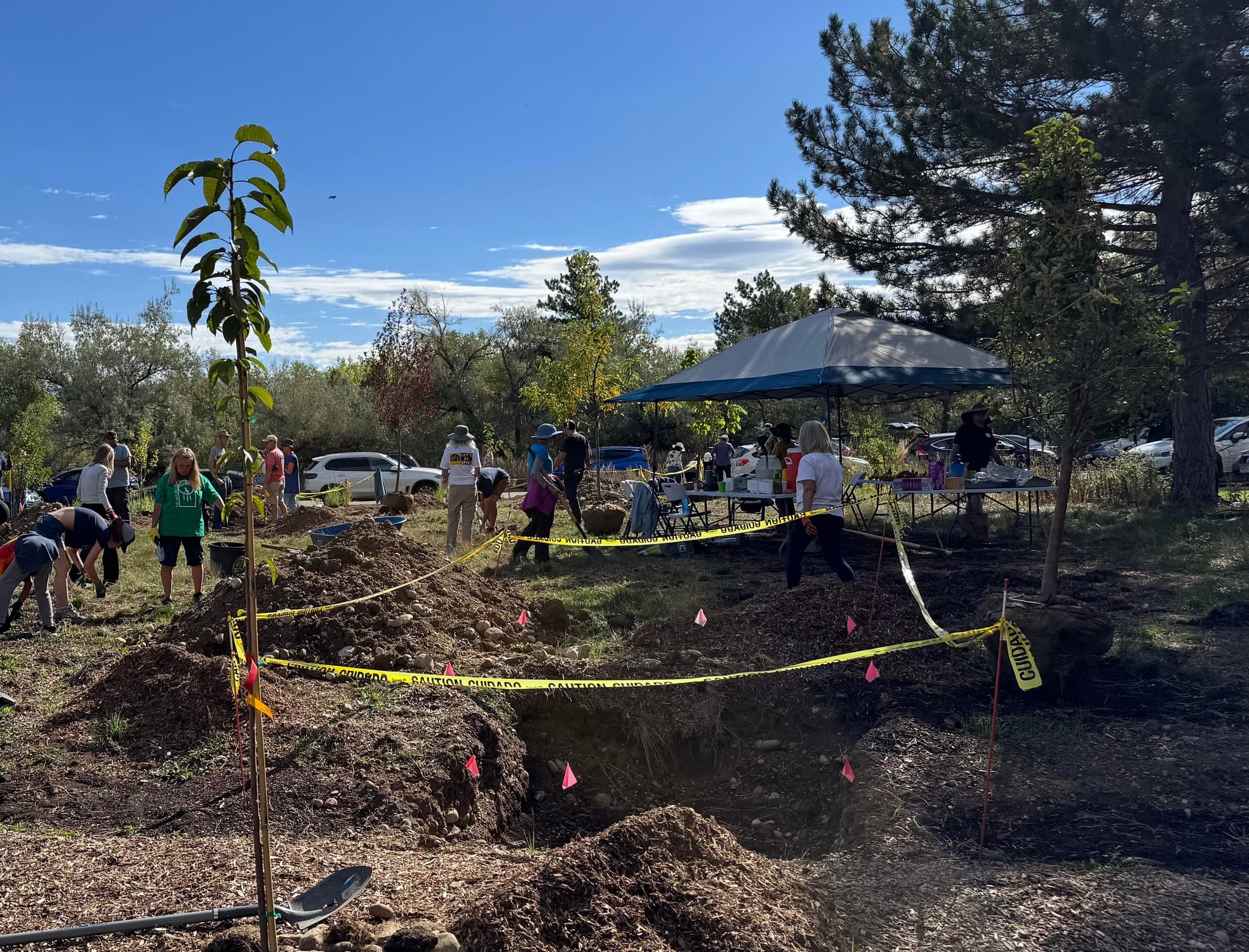 Caution tape and pink flags surround a hole in the ground where a tree will be planted.
