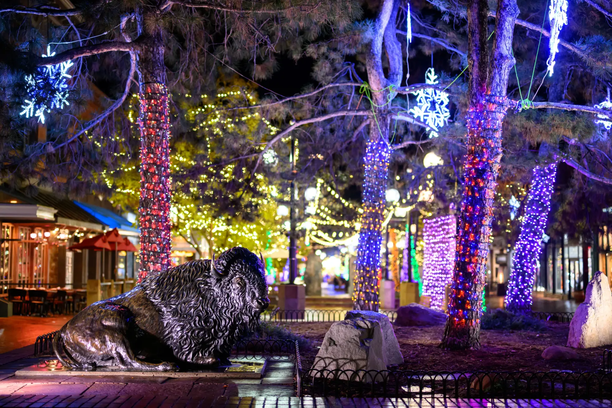 Nicole's Notes - Week of December 1, 2025