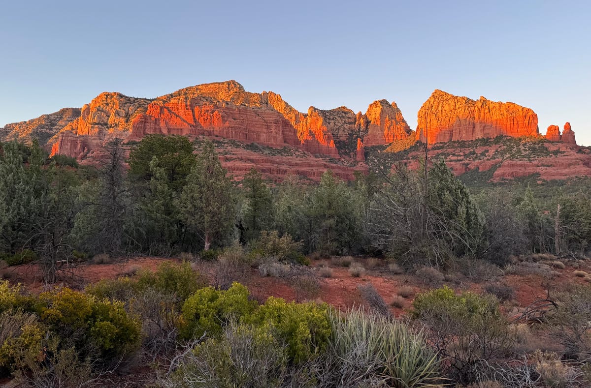 Red cliffs look orange in the setting sun. A desert landscape with junipers, pines, and cacti is in the foreground.