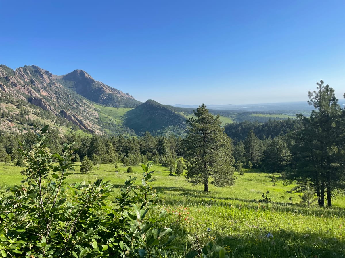 A green meadow dotted with trees and wildflowers overlooks the flatirons and the Boulder Valley.