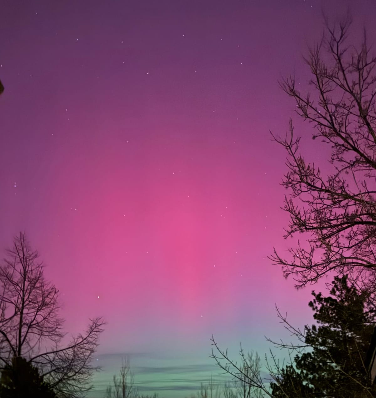 Colorful aurora borealis lights up the night sky in vivid pinks and greens, with silhouetted trees framing the glowing horizon.