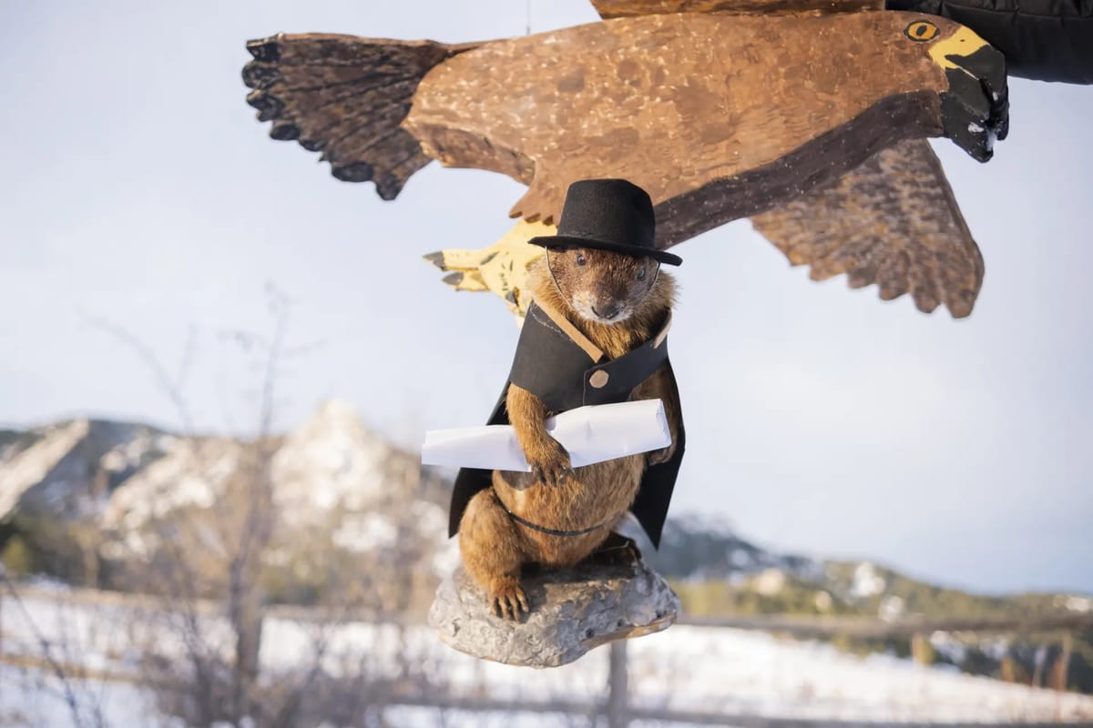 Taxidermy groundhog in a black cape and hat, suspended midair by a carved wooden bird, with snowy mountains and trees in the background.