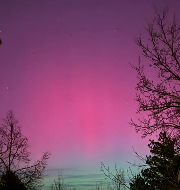 Colorful aurora borealis lights up the night sky in vivid pinks and greens, with silhouetted trees framing the glowing horizon.